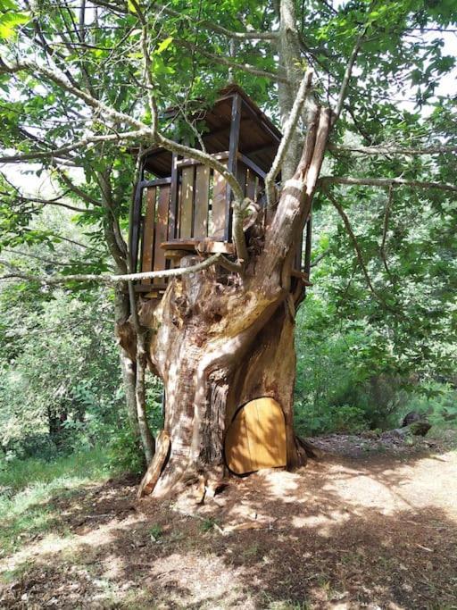 Apartmán Quinta Do Borges 2 Guarda Exteriér fotografie